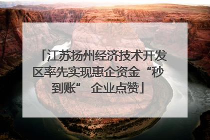 江苏扬州经济技术开发区率先实现惠企资金“秒到账” 企业点赞