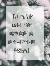 江西吉水：19村“鸽”鸣致富曲 奏响乡村产业振兴强音