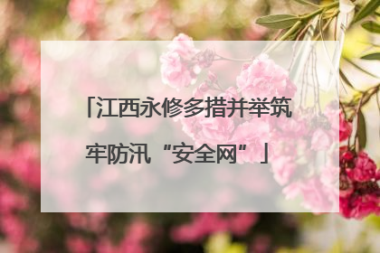 江西永修多措并举筑牢防汛“安全网”
