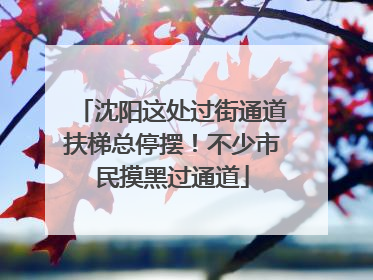 沈阳这处过街通道扶梯总停摆！不少市民摸黑过通道