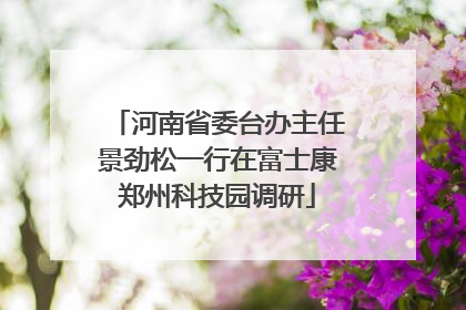 河南省委台办主任景劲松一行在富士康郑州科技园调研