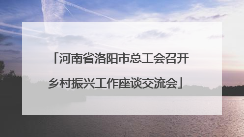 河南省洛阳市总工会召开乡村振兴工作座谈交流会