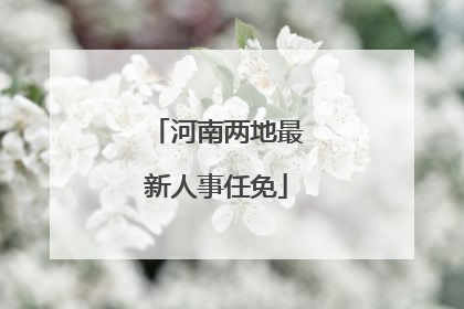 河南两地最新人事任免