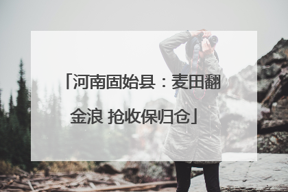 河南固始县：麦田翻金浪 抢收保归仓