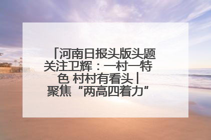 河南日报头版头题关注卫辉：一村一特色 村村有看头 ︳聚焦“两高四着力”·一“县”观察