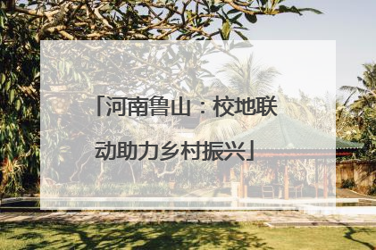 河南鲁山：校地联动助力乡村振兴