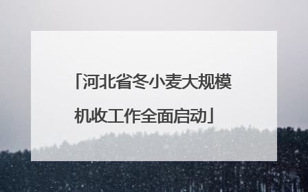 河北省冬小麦大规模机收工作全面启动