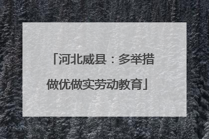 河北威县：多举措做优做实劳动教育
