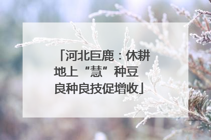 河北巨鹿：休耕地上“慧”种豆 良种良技促增收