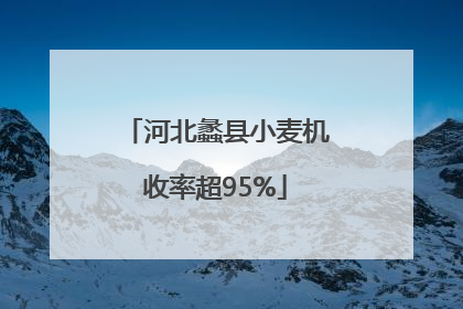 河北蠡县小麦机收率超95%
