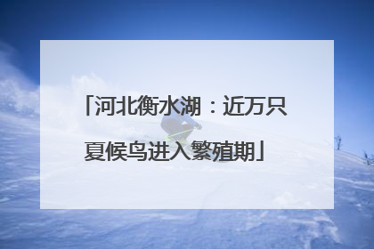 河北衡水湖：近万只夏候鸟进入繁殖期