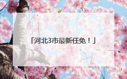 河北3市最新任免！