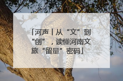 河声丨从“文”到“创”，读懂河南文旅“留量”密码