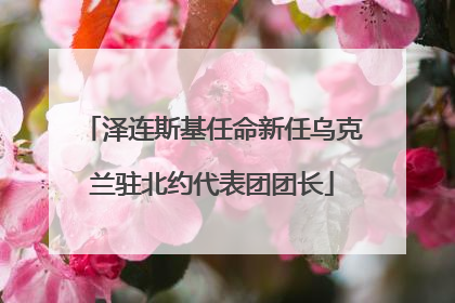泽连斯基任命新任乌克兰驻北约代表团团长