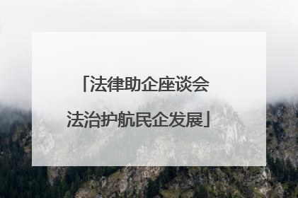法律助企座谈会 法治护航民企发展