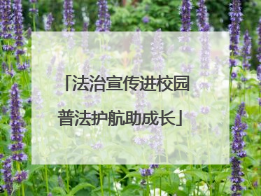 法治宣传进校园 普法护航助成长