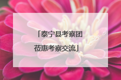 泰宁县考察团莅惠考察交流
