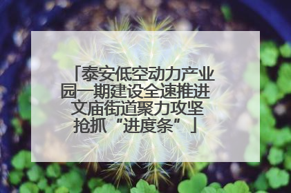 泰安低空动力产业园一期建设全速推进 文庙街道聚力攻坚抢抓“进度条”