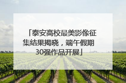泰安高校最美影像征集结果揭晓，端午假期30强作品开展