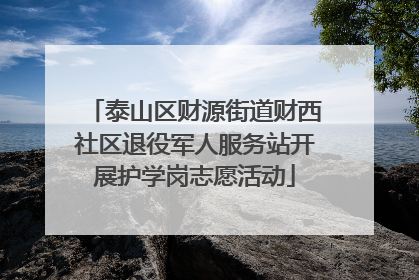 泰山区财源街道财西社区退役军人服务站开展护学岗志愿活动
