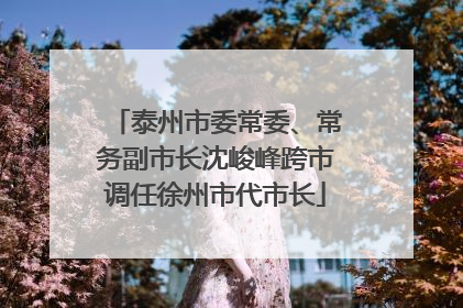 泰州市委常委、常务副市长沈峻峰跨市调任徐州市代市长