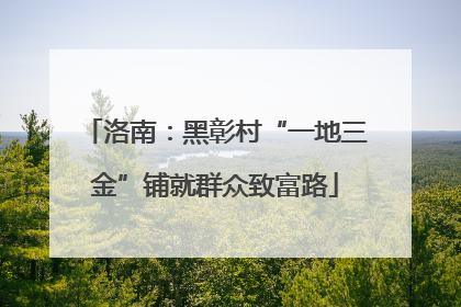 洛南：黑彰村“一地三金”铺就群众致富路
