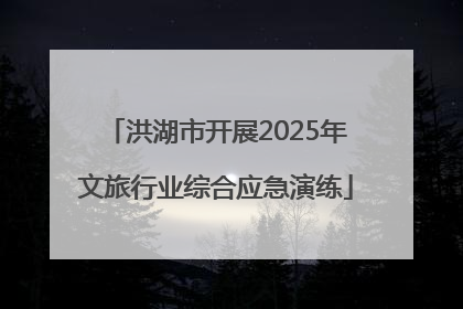 洪湖市开展2025年文旅行业综合应急演练