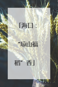 海口：“琼山福稻”香