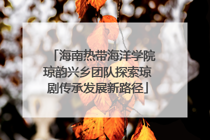 海南热带海洋学院琼韵兴乡团队探索琼剧传承发展新路径