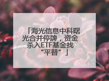 海光信息中科曙光合并停牌，资金杀入ETF基金找“平替”