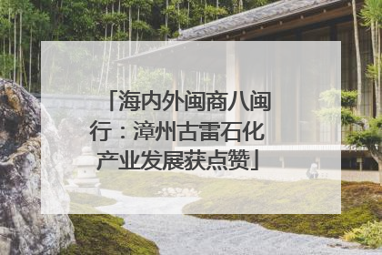 海内外闽商八闽行：漳州古雷石化产业发展获点赞