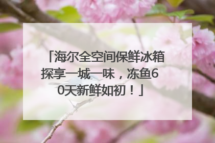 海尔全空间保鲜冰箱探享一城一味，冻鱼60天新鲜如初！