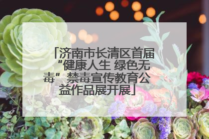 济南市长清区首届“健康人生 绿色无毒”禁毒宣传教育公益作品展开展