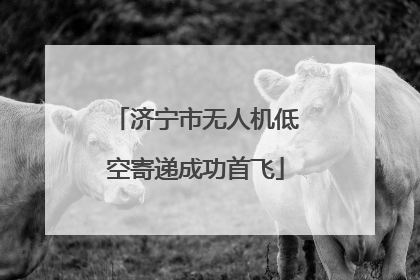 济宁市无人机低空寄递成功首飞