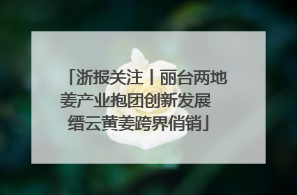 浙报关注丨丽台两地姜产业抱团创新发展 缙云黄姜跨界俏销