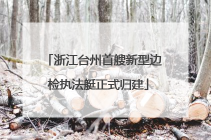 浙江台州首艘新型边检执法艇正式归建