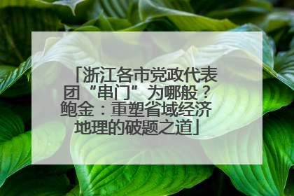 浙江各市党政代表团“串门”为哪般？鲍金：重塑省域经济地理的破题之道