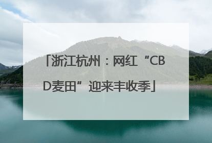 浙江杭州：网红“CBD麦田”迎来丰收季