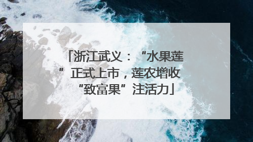 浙江武义：“水果莲”正式上市，莲农增收“致富果”注活力