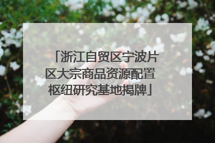 浙江自贸区宁波片区大宗商品资源配置枢纽研究基地揭牌