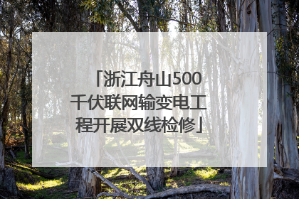 浙江舟山500千伏联网输变电工程开展双线检修