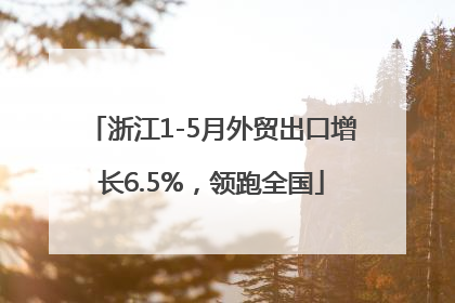 浙江1-5月外贸出口增长6.5%，领跑全国