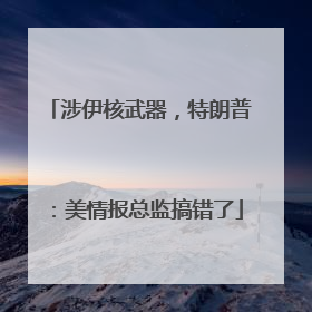 涉伊核武器，特朗普：美情报总监搞错了