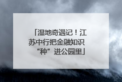 湿地奇遇记！江苏中行把金融知识“种”进公园里