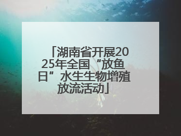 湖南省开展2025年全国“放鱼日”水生生物增殖放流活动