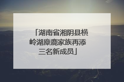 湖南省湘阴县横岭湖麋鹿家族再添三名新成员