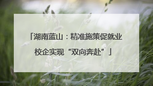 湖南蓝山：精准施策促就业 校企实现“双向奔赴”