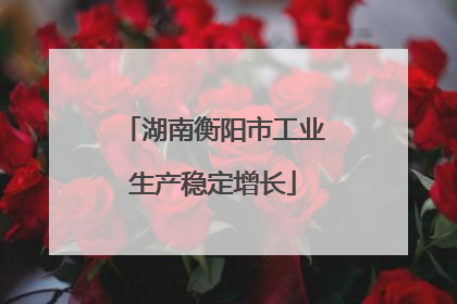 湖南衡阳市工业生产稳定增长