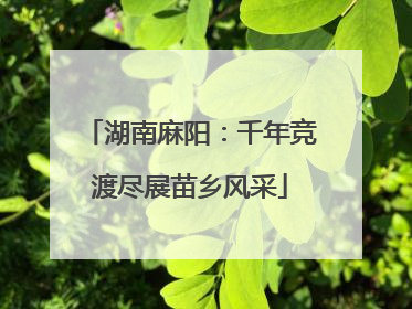湖南麻阳：千年竞渡尽展苗乡风采