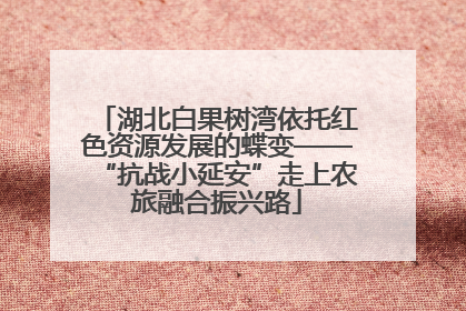 湖北白果树湾依托红色资源发展的蝶变——“抗战小延安”走上农旅融合振兴路